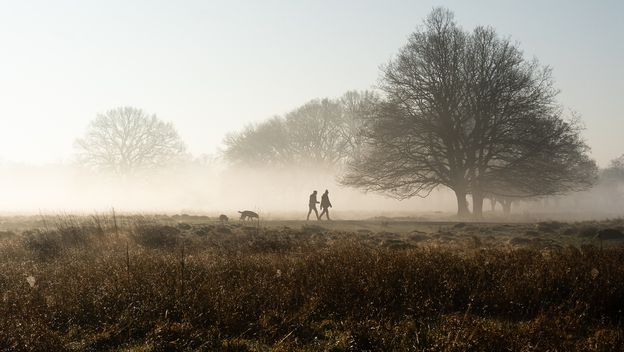 Vremenska prognoza; Ilustracija