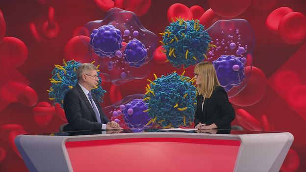 Zaklada Ana Rukavina - 3