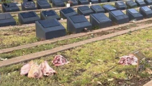 Svinjske glave na grobljima u Sydneyju