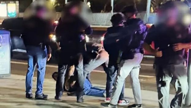 Uhićenje Nicka Reinera