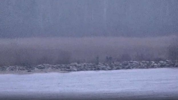 Ruski graničari ušli u Estoniju