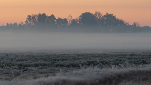 Vremenska prognoza; Ilustracija