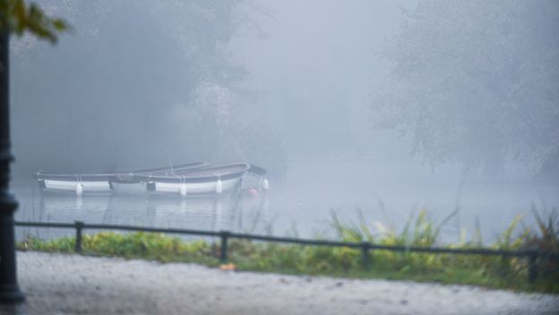 Magla u parku Maksimir