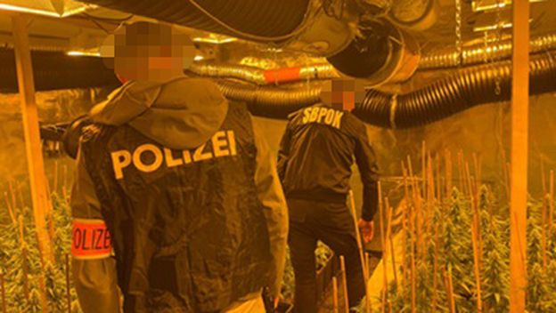 Zaplijenjeni skupocjeni satovi i automobili: Razbijena kriminalna grupa koja je uzgajala i prodavala marihuanu, uhićenja u tri države - 2