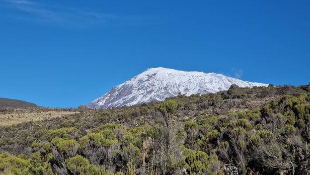Kilimanjaro