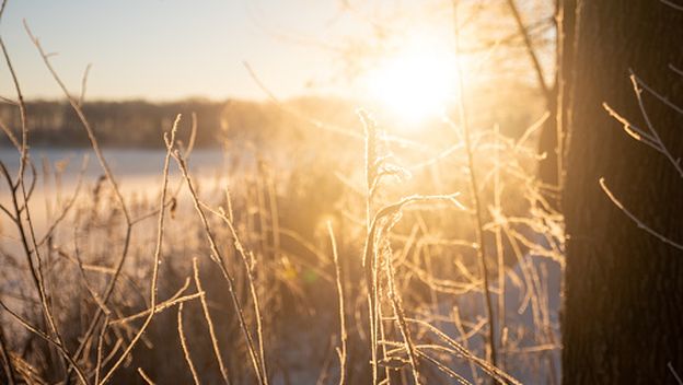 Hladno vrijeme, ilustracija