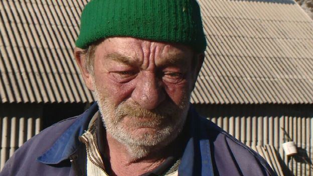 Stočar Nikola Surla