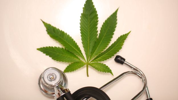 Ilustracija: kanabis