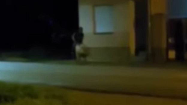 Muškarac koji jaše svinju u Slavoniji