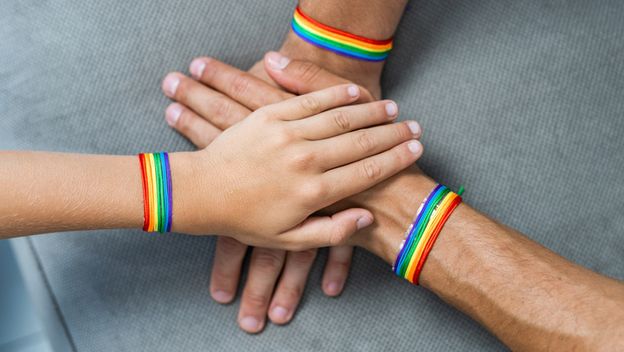 Ilustracija: istospolna obitelj