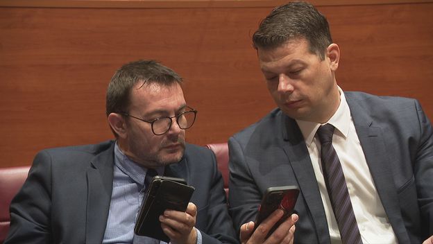 Revizija kod političkih stranaka - 2