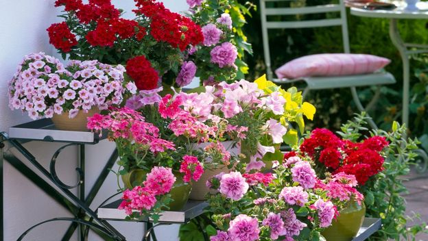 Jedva čekamo šareno cvijeće i uživanje na balkonu