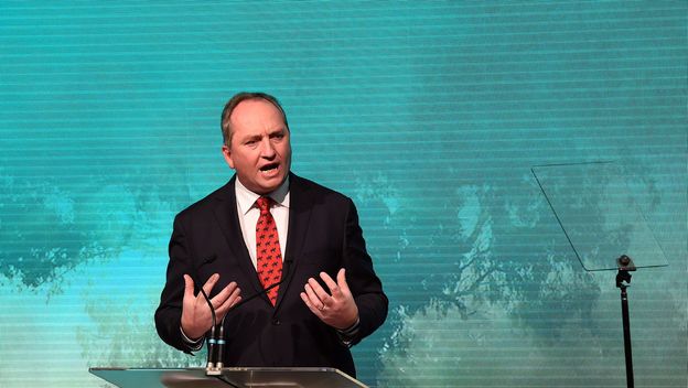 Barnaby Joyce (Foto: AFP)