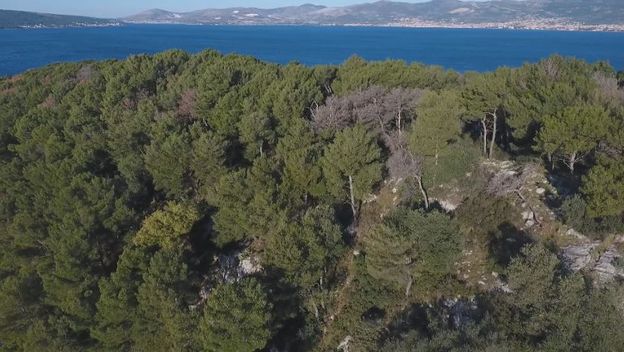 Marjan (Foto: Dnevnik.hr)