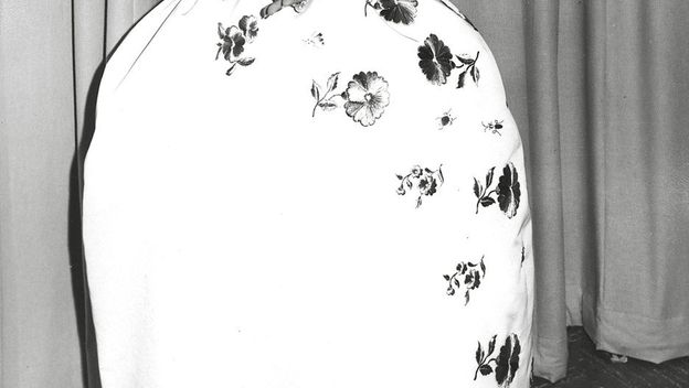 Elizabeth Taylor (Foto: Profimedia)