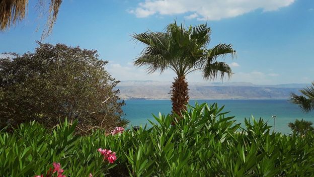 Zapadna Obala, Palestina - 6