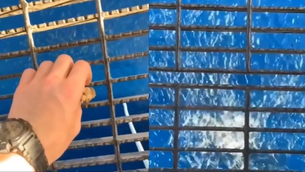 Muškarac koji baca hranu s naftne platforme u more i ribe koje se pojave