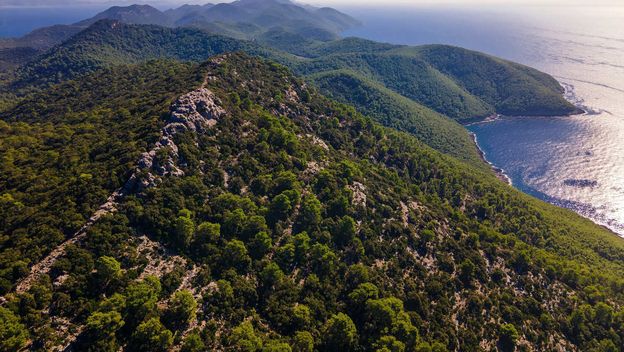 Mljet - 9