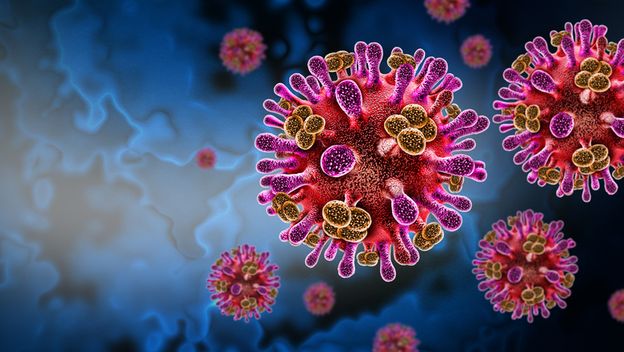 Virus Nipah, ilustracija