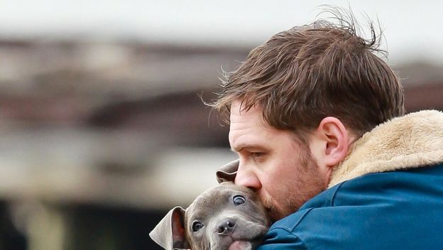 Tom Hardy zaljubio se u preslatkog pitbula na setu filma The Drop