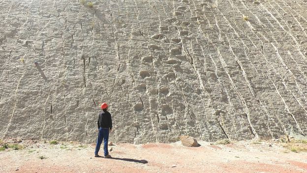 Tragovi dinosaura, ilustracija