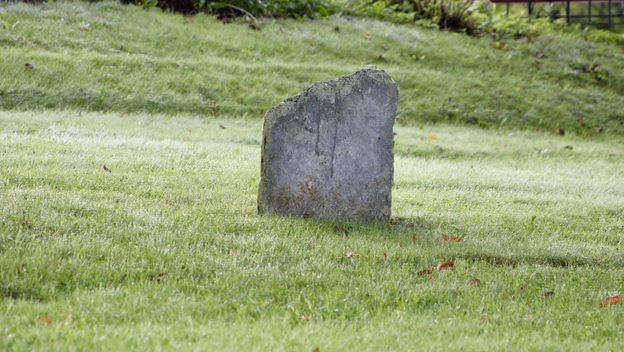 Ilustracija; Zemljište