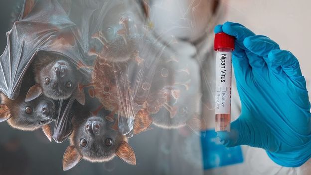 Zabrinjavajuće vijesti: Virus s do 75 % smrtnosti ponovno je aktivan!