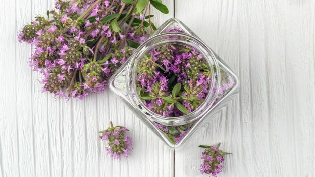 Majčina dušica - 3