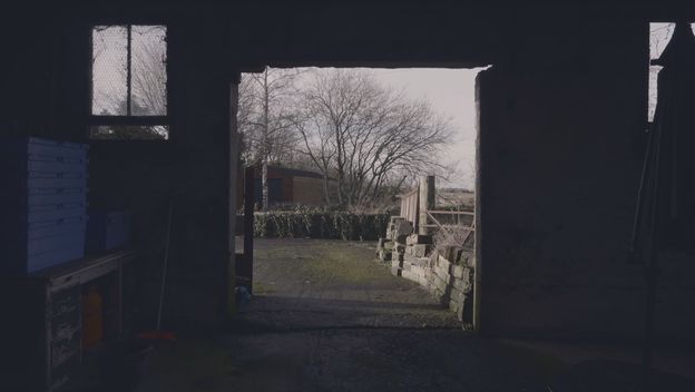 Horor u Svetoj Nedelji