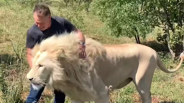 Bliski susret s lavom