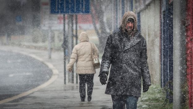 Susnježica, ilustracija