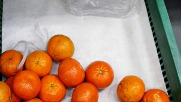 Mandarine sa smiješnom državom podrijetla