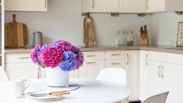 Pazite da ne upadnete u zamke tijekom uređenja