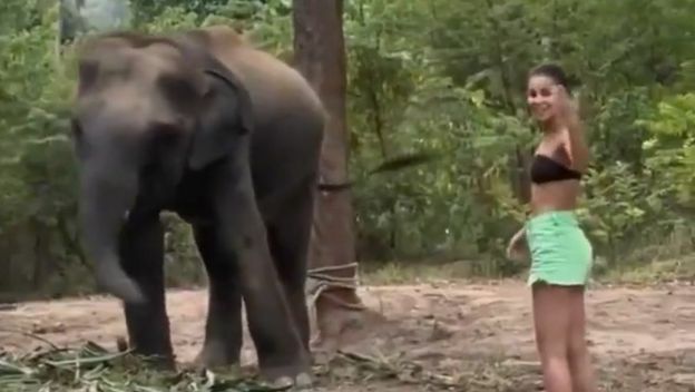 Bliski susret sa slonom