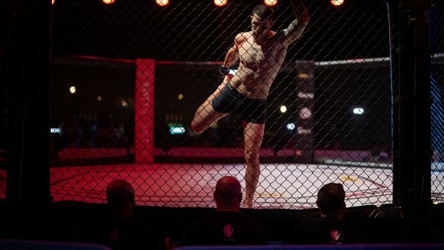 MMA oktagon (ilustracija)