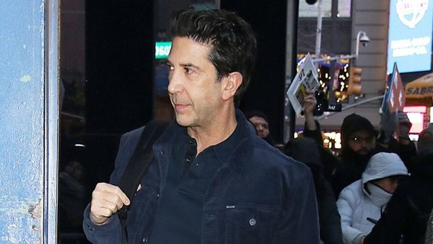 David Schwimmer