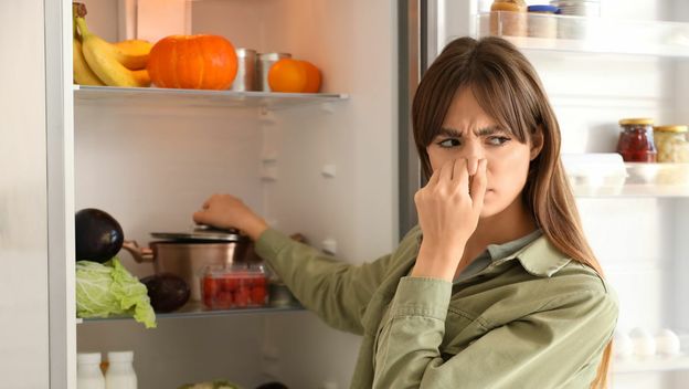 Koliko često čistiti hladnjak? - 4
