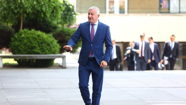 Branislav Borenović