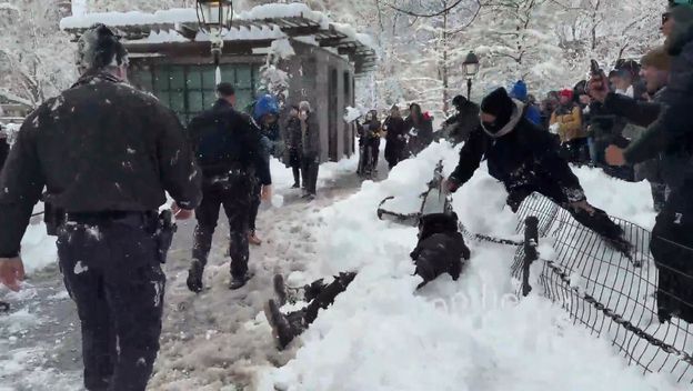 Policija na grudanju u New Yorku