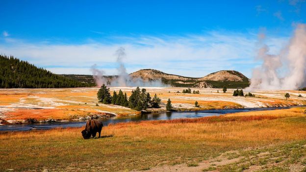 Yellowstone - 8