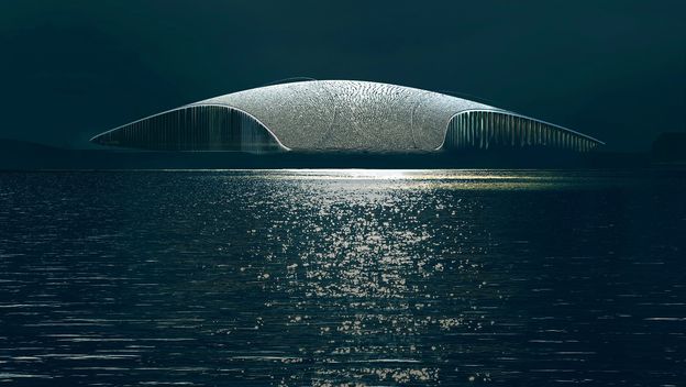 The Whale by Dorte Mandrup - 3
