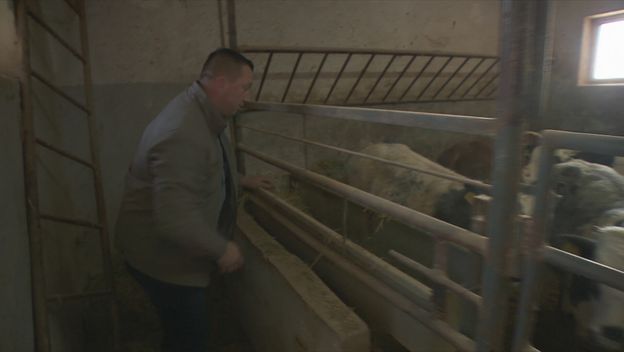 Stoka na Jakuševcu - 2