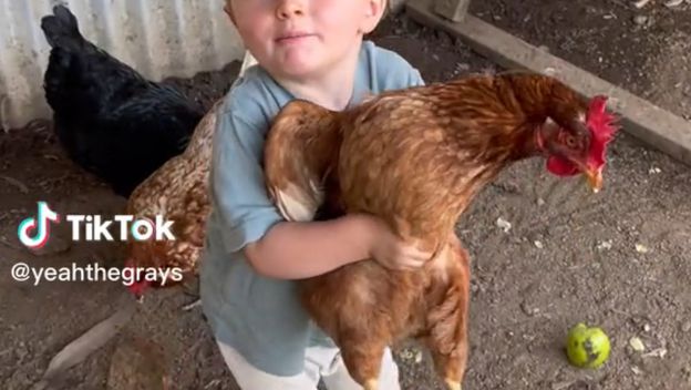 Dječak i kokoš