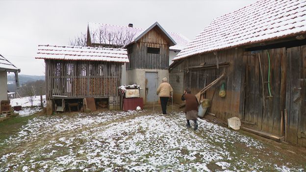 Špek lopovi haraju sjeverom