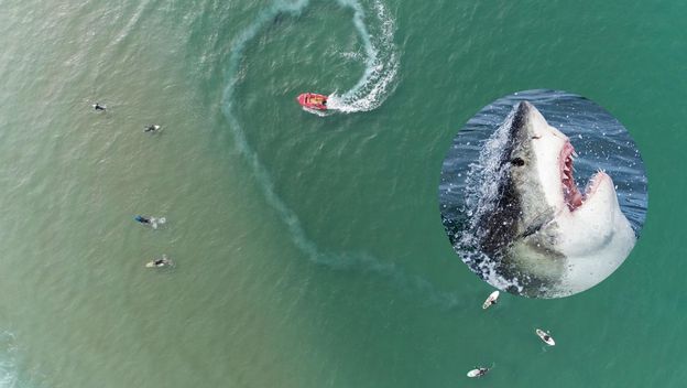 Slika mora iz zraka sa surferima i brodom te morski pas koji izvire iz vode