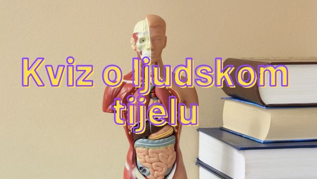 Anatomija ljudskog tijela