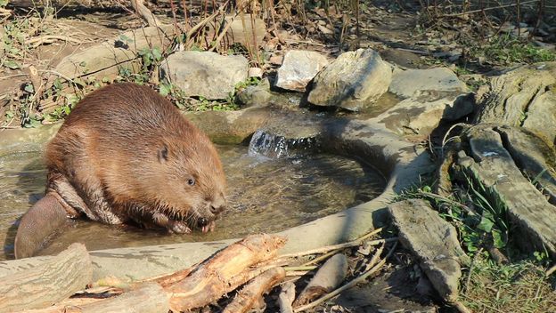 Do kraja veljače u zagrebačkom zoo vrtu održavat će se Egzotične subote - 1