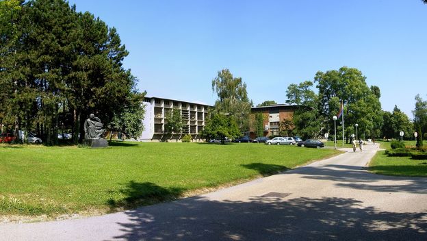 Institut Ruđer Bošković