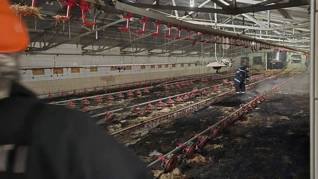 Požar na farmi pilića