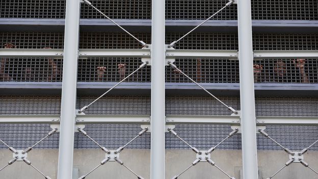 Metropolitan Detention Center - 2